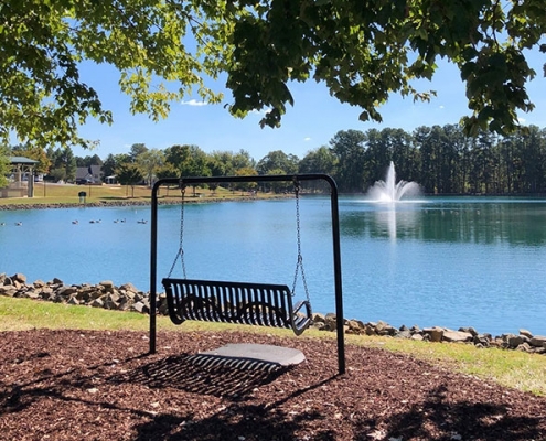 Pine Lake Park Swing