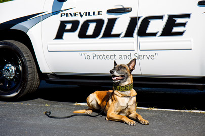 Pineville Police K9 Unit